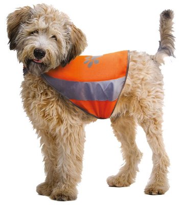 Світловідбивний жилет Croci Visibility для собак, розмір XS обхват шиї 22 - 32 см, об'єм грудей 34 - 40 см (C6020098) 6196 фото