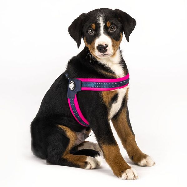 Шлейка Рожевий Матрикс Max & Molly Q-Fit Harness Matrix Pink/S для собак, обхват грудей 39 - 42 см (000007242) 5784 фото