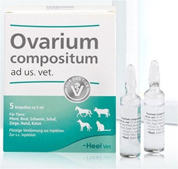 Овариум Композитум Хель Ovarium Сompositum средство для лечения половой системы самок, 5 мл 1646 фото