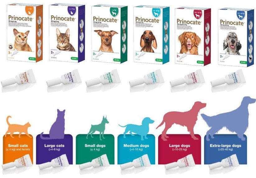 Принокат Prinocate Small Dog капли от блох и клещей для маленьких собак весом до 4 кг, 3 пипетки по 0,4 мл 4216 фото