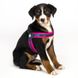 Шлейка Розовый Матрикс Max & Molly Q-Fit Harness Matrix Pink/XL для собак, обхват груди 60 - 66 см (212035) 5787 фото 2