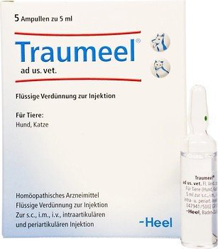 Траумель Хеель Traumeel Heel протизапалювальний, регенеруючу, знеболюючий засіб, 5 мл 1645 фото