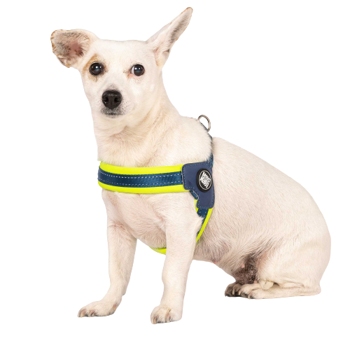 Шлейка Матрікс Зелений Лайм Q-Fit Harness Matrix Lime Green/M для собак, обхват грудей 45 - 48 см (214033) 5789 фото