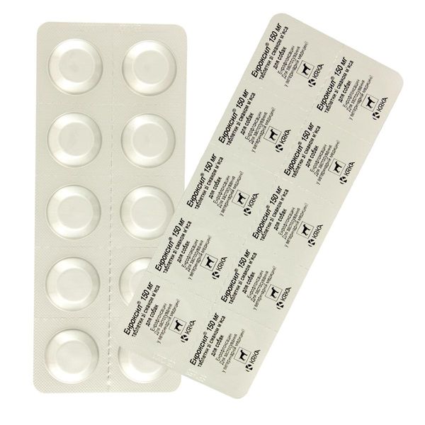 Энроксил 150 мг таблетки антибактериальные для собак (дыхательная, мочеполовая системы), 10 таблеток 124 фото
