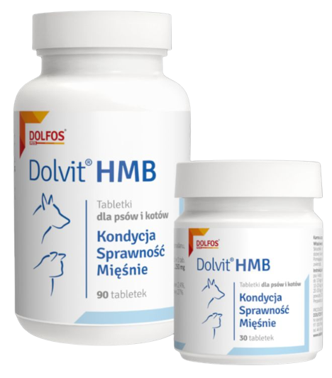 Долвіт ГМБ Dolvit НМВ Dolfos вітаміни для поліпшення регенерації м'язів у собак і кішок, 30 таблеток 346 фото