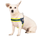 Шлейка Матрікс Зелений Лайм Q-Fit Harness Matrix Lime Green/XL для собак, обхват грудей 60 - 66 см (214035) 5791 фото 2