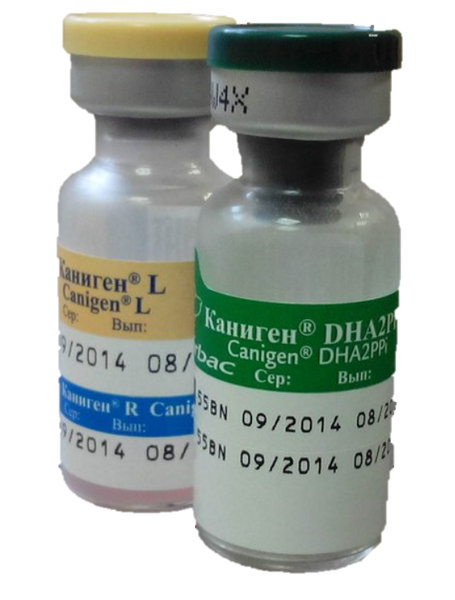 Каниген DHA2PPi/LR Virbac Canigen DHA2PPi/LR комплексная вакцина для собак щенков старше 12 недель, 1 доза 341 фото