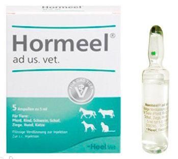 Гормель Хеель Нormeel Heel средство для устранения гормональных расстройств, 5 ампул по 5 мл 1658 фото