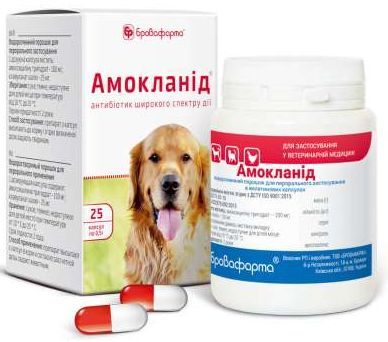 Амокланид антибиотик для лечения заболеваний ЖКТ, органов дыхания и мочевыводящих путей у собак, 25 капсул по 0, 5 гр 976 фото