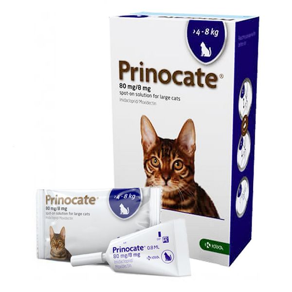 Принокат Prinocate Large Cats капли от блох и клещей для больших кошек весом 4 - 8 кг, 1 пипетк х 0,8 мл 4746 фото