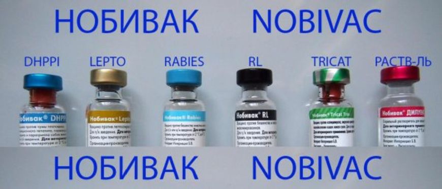 Нобівак РЛ Nobivac RL вакцина проти сказу та лептоспірозу собак, 1 доза 150 фото