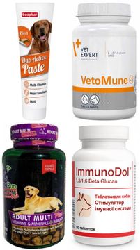 Вітаміни, що підвищують імунітет у собак