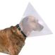 Ветеринарний комір Collar Dog Exterme пластиковий для собак і котів, розмір S, обхват шиї 28 - 33 см, висота 12 см (1561) 6216 фото 3