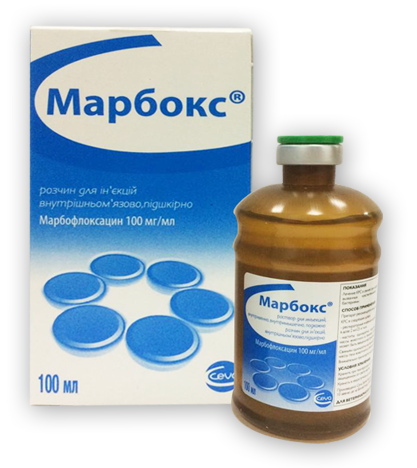 Марбокс 10% инъекционный антимикробный препарат для КРС и свиней, 100 мл 1622 фото