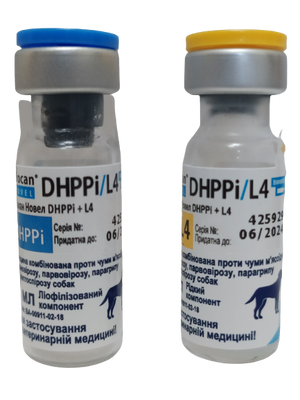 Біокан Новел DHPPI+L4 Biocan Novel DHPPI+L4 вакцина для собак (чума,аденовірус,парвовірус,парагрип), 1 доза 1369 фото