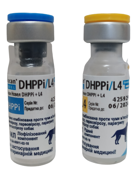 Биокан Новел DHPPI+L4 Biocan Novel DHPPI+L4 вакцина для собак (чума,аденовирус,парвовирус,парагрипп), 1 доза 1369 фото