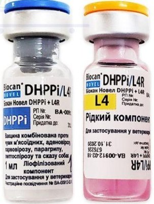 Біокан Новел DHPPI+L4R Biocan Novel DHPPI+L4R вакцина для собак (сказ,чума,аденовірус,парагрип), 1 доза 1370 фото