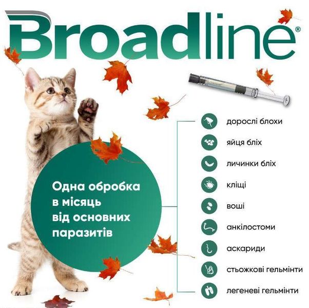 Бродлайн для кішок до 2.5 кг Broadline краплі на холку від глистів бліх і кліщів, 1 піпетка 713 фото