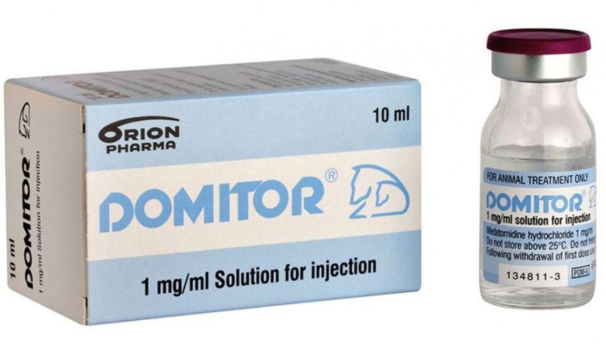 Домитор Domitor 0,1% для одержання седативного ефекту і аналгезії у собак і кішок, 10 мл 1400 фото