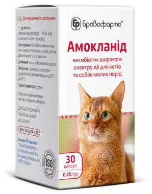 Амокланід антибіотик для лікування захворювань ШКТ, органів дихання та сечовивідних шляхів у кішок та маленьких собак, 30 капсул х 0,25  гр 4988 фото