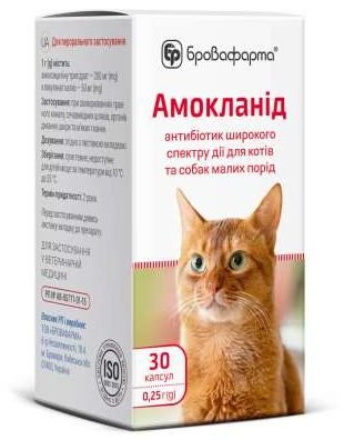 Амокланід антибіотик для лікування захворювань ШКТ, органів дихання та сечовивідних шляхів у кішок та маленьких собак, 30 капсул х 0,25  гр 4988 фото