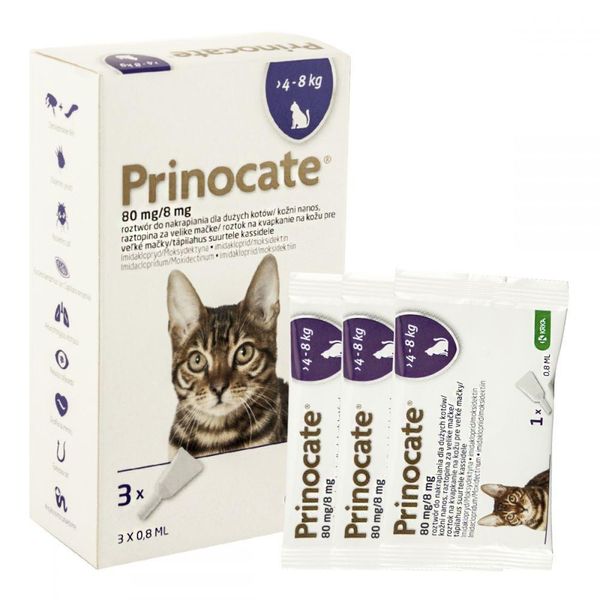 Принокат Prinocate Large Cats капли от блох и клещей для больших кошек весом 4 - 8 кг, 3 пипетки по 0,8 мл 4215 фото