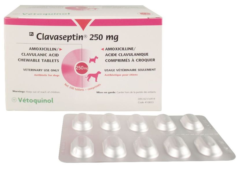 Клавасептин 250 мг Clavaseptin Vetoquinol антибіотик для собак та котів, 10 таблеток 1230 фото