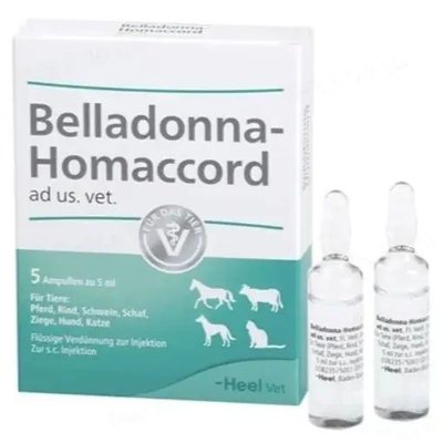 Белладонна-Гомаккорд Хеель Belladonna-Homaccord Heel гомеопатическое лекарственное средство, 5 ампул по 5 мл 1667 фото