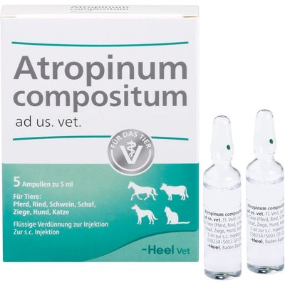 Атропинум Композитум Heel Atropinum Compositum инъекционный гомеопатический препарат, 5 ампул по 5 мл 6275 фото