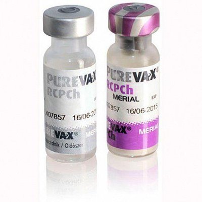 Пуревакс RCPCh Purevax RCPCh вакцина проти ринотрахеїту каліцівірусу панлейкопенії хламідіозу у котів, 1 доза 1423 фото
