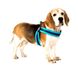 Шлейка Матрикс Блакитне Небо Q-Fit Harness Matrix Sky Blue/XL для собак, обхват грудей 60 - 66 см (215035) 5810 фото 2