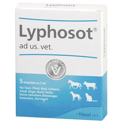 Ліфозот Heel Lyphosot ін'єкційний гомеопатичний препарат, 5 ампул по 5 мл 6279 фото