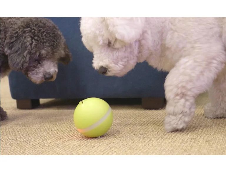 Cheerble Wicked Yellow Ball інтерактивний жовтий м'яч, іграшка для собак і котів (С1801) 6031 фото
