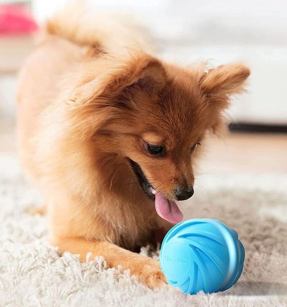 Cheerble Wicked Blue Ball Cyclone Блакитний Циклон інтерактивний синій м'яч, іграшка для собак (С1803) 6032 фото
