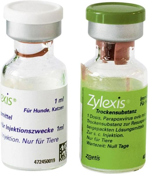 Зилексис 1 мл Zylexis иммуномодулятор для лошадей, собак, кошек, 1 доза 483 фото