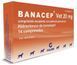 Банацеп Вет 20 мг Calier Banacep Vet 20 mg при серцевій застійній недостатності у собак, вагою більше 20 кг, 14 таблеток 15523 фото 1