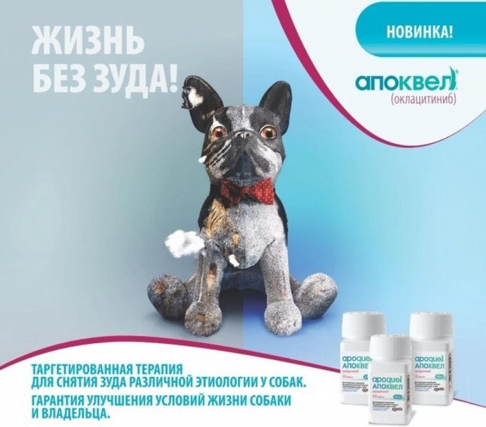 Апоквель 16 мг Apoquel при дерматитах різної етіології, що супроводжуються свербежем у собак, 100 таблеток 504 фото