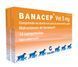 Банацеп Вет 5 мг Calier Banacep Vet 5 mg при серцевій недостатності у собак вагою менше 20 кг, при хворобі нирок у кішок, 14 таблеток 15524 фото 1