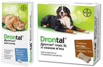 Дронтал таблетки від глистів для котів та собак