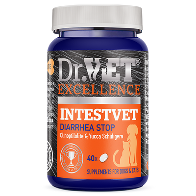 Интествет Dr.Vet Intestvet Diarrhea Stop витаминно-минеральная добавка при диарее у собак и кошек, 40 таблеток (0211202301) 6700 фото