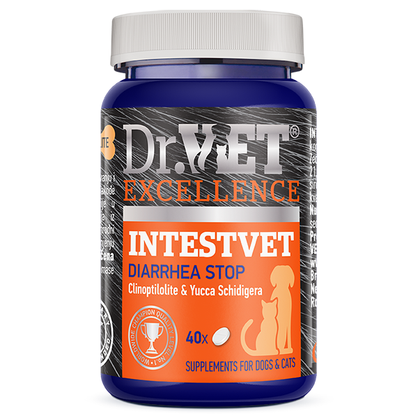Интествет Dr.Vet Intestvet Diarrhea Stop витаминно-минеральная добавка при диарее у собак и кошек, 40 таблеток (0211202301) 6700 фото