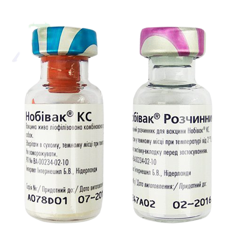 Нобивак КС Nobivac вакцина против бордетеллеза и парагриппа собак, 1 доза + растворитель 152 фото