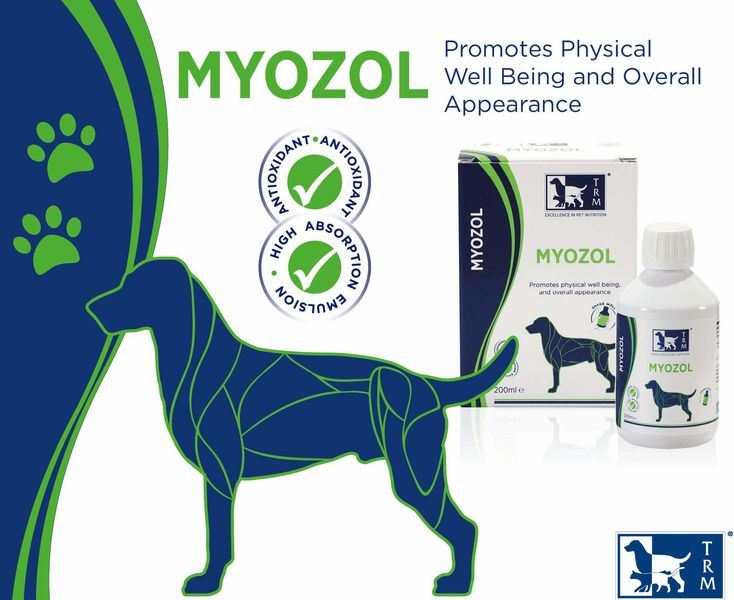 Миозол TRM Myozol Dog витаминная добавка с гамма-оризанолом для увеличения мышечной массы у собак, 200 мл (MYOZ01) 5669 фото