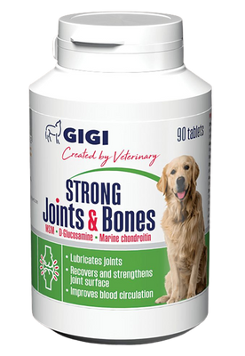 Витамины GIGI АктиВет Strong Joints & Bones для укрепления суставов и костей у собак, 90 таблеток 5996 фото