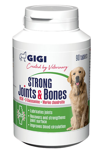 Вітаміни GIGI АктіВет Strong Joints & Bones для зміцнення суглобів і кісток у собак, 90 таблеток 5996 фото