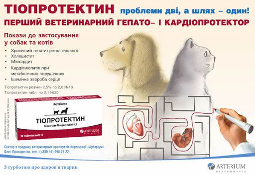 Тіопротектин таблетки по 0,1 гр, гепатопротектор і кардіопротектор для кішок і собак, 20 таблеток 1434 фото