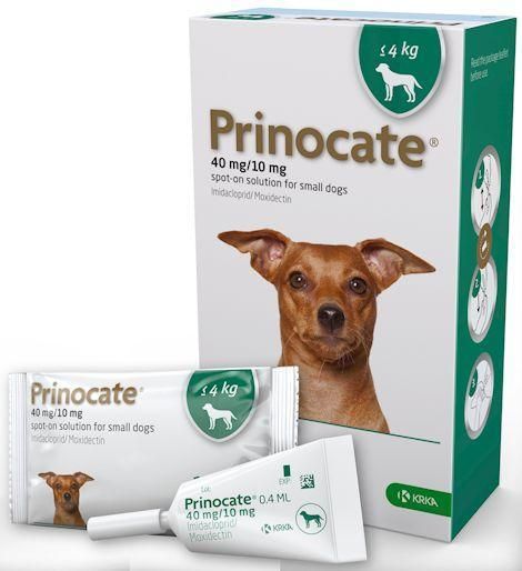 Прінокат Prinocate Small Dog краплі від бліх та кліщів для маленьких собак вагою до 4 кг, 1 піпетка х 0,4 мл 4748 фото