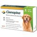 Сімпаріка для собак 20 - 40 кг Simparica 80 мг таблетки від бліх і кліщів, 3 таблетки 937 фото 1